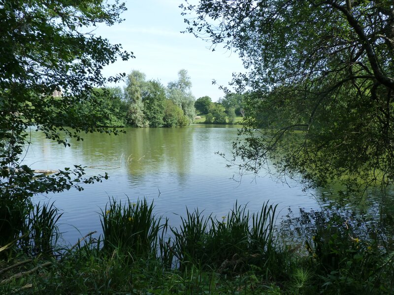 Balade au fil de l'eau