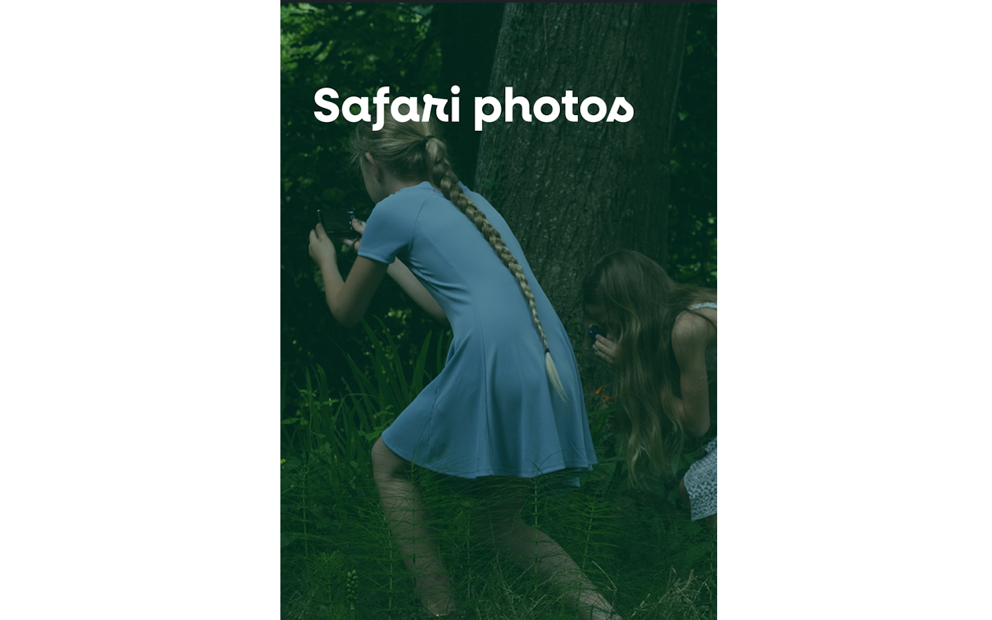 Safari photo