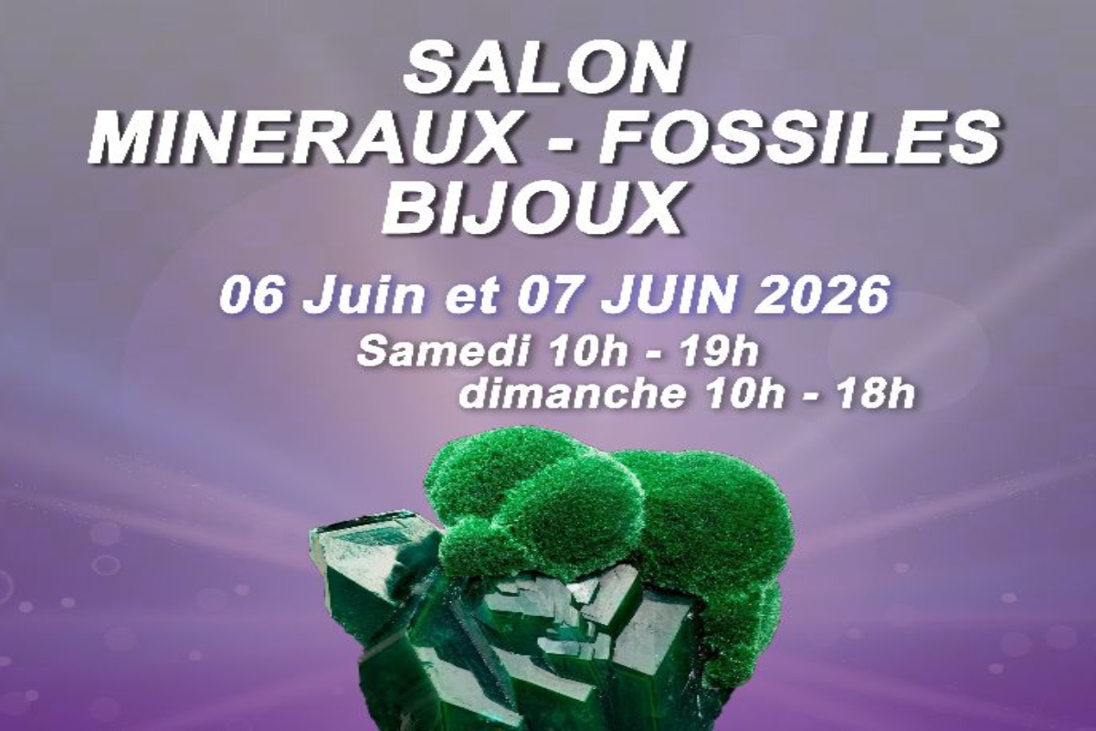 Salon minéraux fossiles