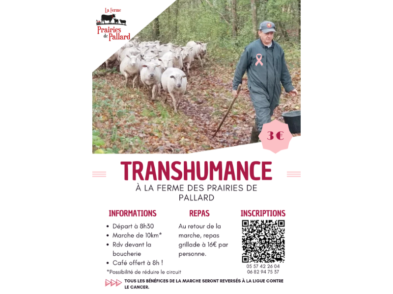 Balade transhumance et repas à la Ferme des Prairies de Pallard