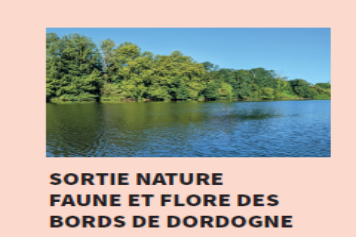 Sortie nature : faune et flore des bords de Do ...