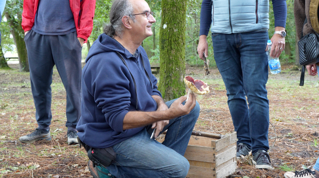 Automne en Scène : Sortie mycologique