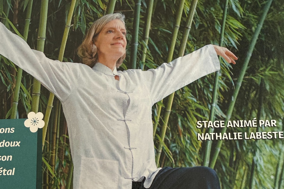 Stage de Qi Gong