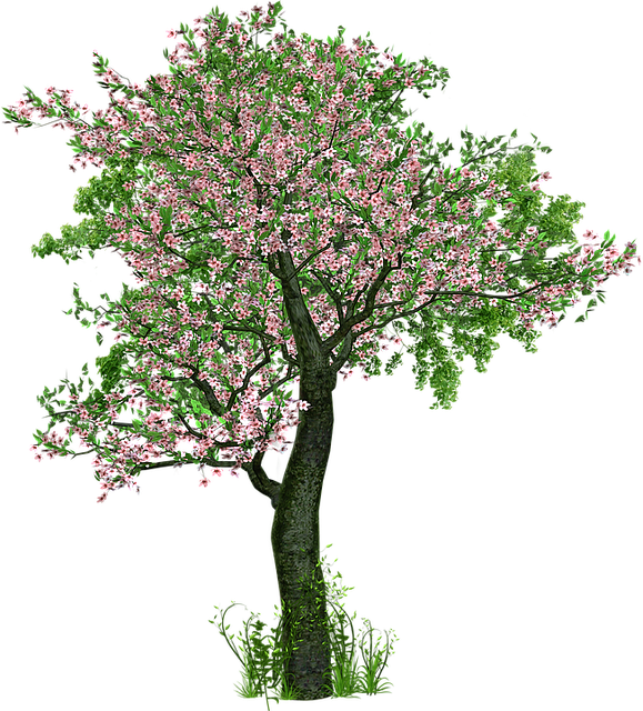 Comme un arbre