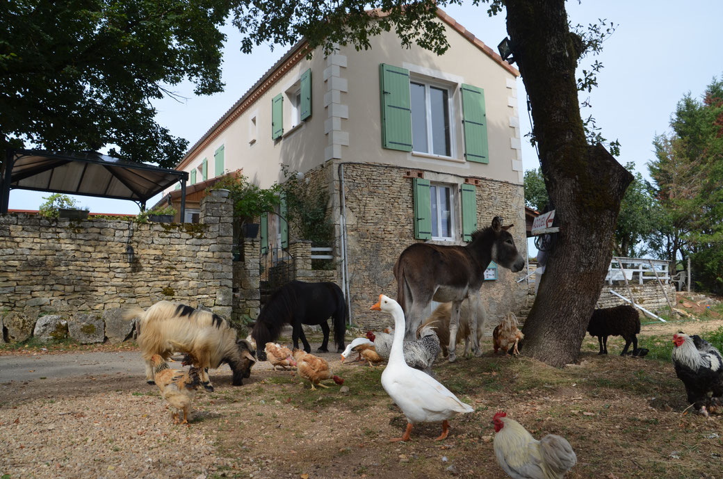 la-ferme-des-vergnes