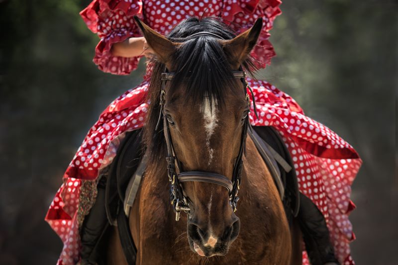 Spectacles des vendredis - Bestia/Les bourgeao ...
